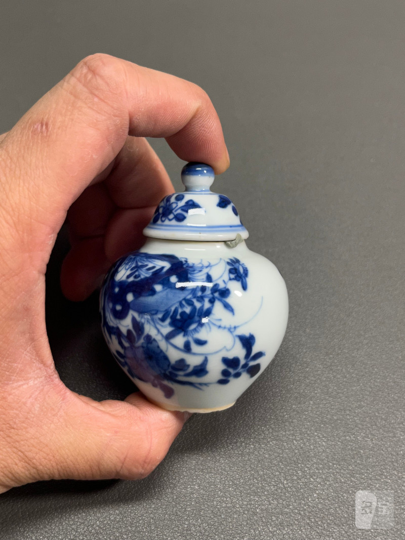 清康熙  青花虫草纹小盖罐 - 图7